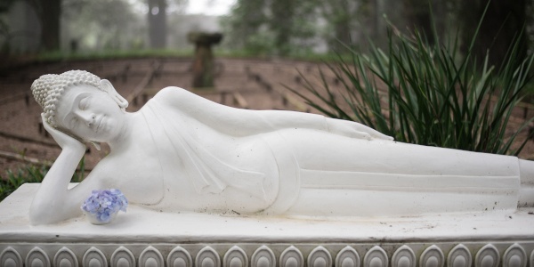 reclining buddha abuckland5105