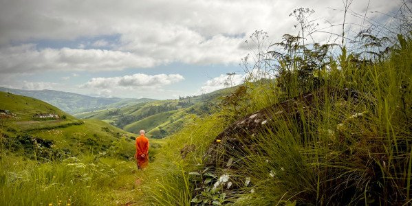 ajahn walking like a buddha2