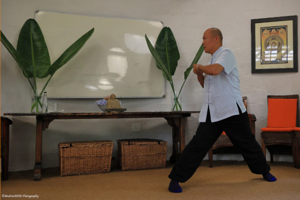 qigong dr hu jin yun