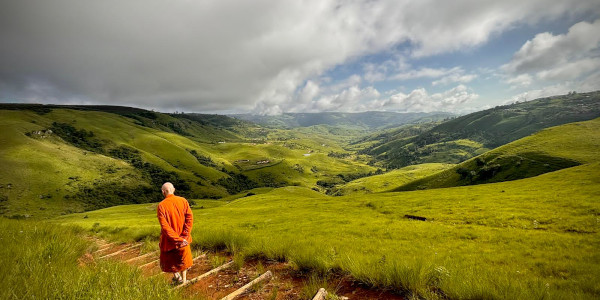 ajahn sucitto walking like a buddha1