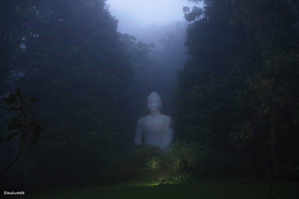 buddha in the mist