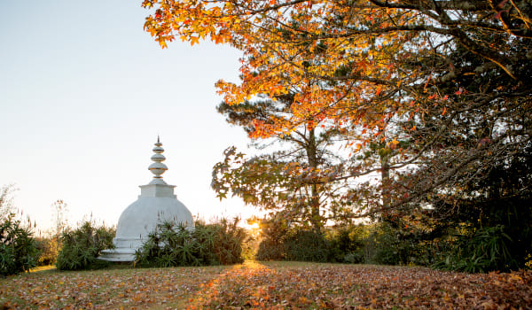 stupa autumn light leaves