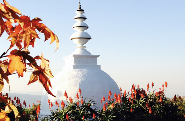 stupa aloes