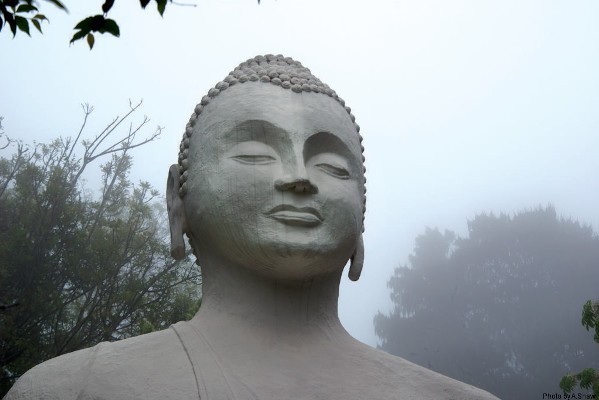 26 06 shaw brc buddha mist 0011