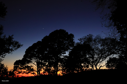 dawn shot andrew brown